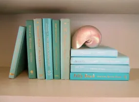 Books By The Foot Box Instant Library Home Interior Design SEA GLASS GREEN BLUE Color Therapy