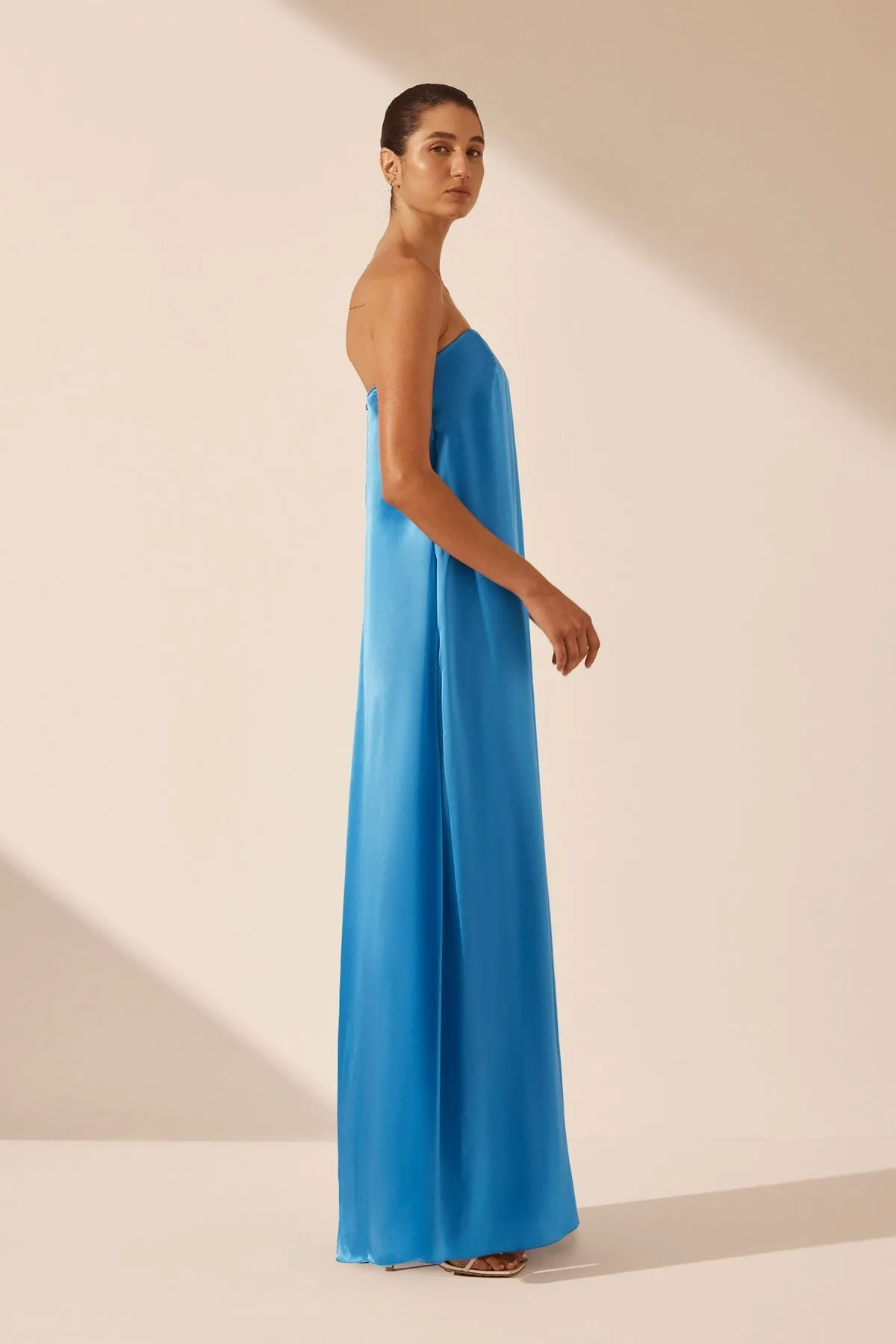 CIEL SILK STRAPLESS COLUMN MAXI DRESS