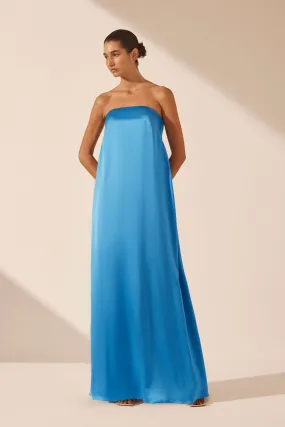 CIEL SILK STRAPLESS COLUMN MAXI DRESS